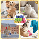 Bandagem Elástica PataFix